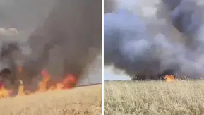 Konya’da kuş alarmı! Tarım arazileri alev alev yandı