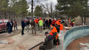 Konya'da yaban domuzu istilasına karşı harekete geçildi