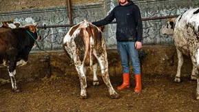 Fiyatlar ne kadar? Konya’da kurbanlıklara yoğun talep