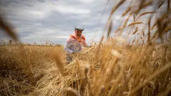 Konya milletvekillerinden öneri! Çiftçiye destek için 50 milyar TL’lik yeni ödenek teklifi