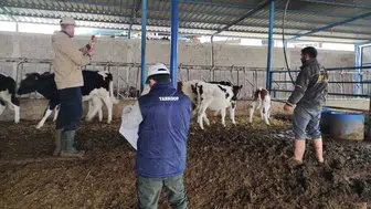 Konya'da ekipler sahada! Aşılama çalışmaları sürüyor