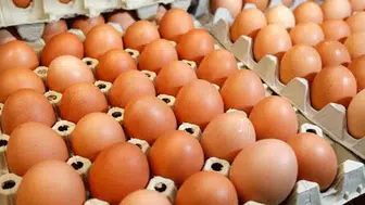 Belediyeden uygun fiyata yumurta satışı! Fiyat açıklandı