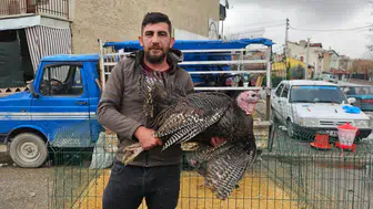 Konya’da hindi satışlarında yılbaşı mesaisi