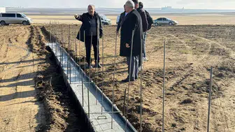 Çalışmalar başladı! Konya'da sokak hayvanlarına büyük yatırım