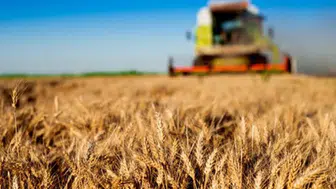 Tarım ve hayvancılıkta 2025 nasıl geçti?