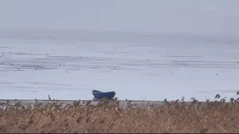 Konya’nın denizinden sevindirici haber! Kurtuluyor mu?