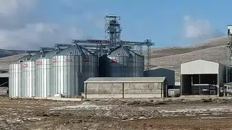 Konya’da TMO vurgunu: Depo sahibi hububatı satıp yurt dışına kaçtı