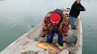 Konya'da balıkçılığa yakın takip! Su ürünleri denetim altında