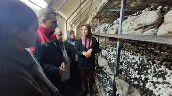 Konya’da bu işi kazanacak! 3 bün Euro destek verilecek