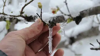 Konya AKOM gece ve sabaha karşı saatler için uyardı