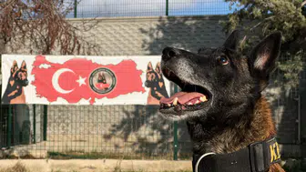 Konya’da hassas burunlu köpekler görevde: Zehir tacirlerinin kâbusu oldular