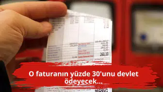 O faturanın yüzde 30'unu devlet ödeyecek...