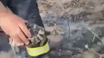 Konya’da yürek ısıtan görüntü! Yangından kaplumbağayı kurtardı