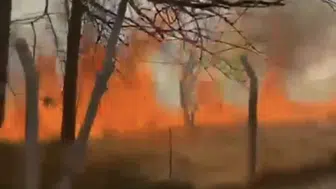 Konya’da korkutan yangın! Rüzgarı etkisi ile yayıldı
