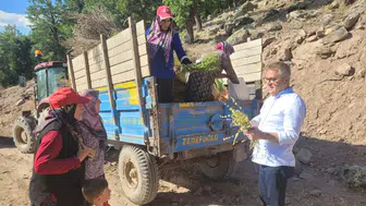 Konya'da üreticileri sevindiren gelişme! Yayla yolları için harekete geçildi