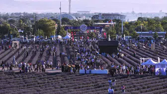 Karatay Lavanta Günleri başlıyor! İşte konserler ve etkinlik programı