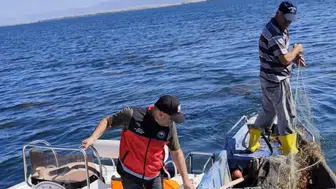 Konya'da sıkı denetim başladı! Balıklar tek tek ölçüldü
