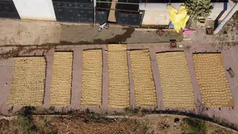 Konya'da asırlık tarhana geleneğinde yaz mesaisi sona eriyor