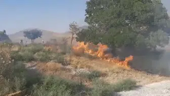 Konya’da korkutan yangın! Sebebi bilinmihor