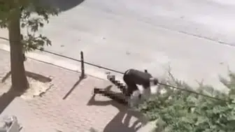 Konya’da sokak ortasında katliam! Defalarca bıçakladı