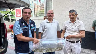Konya’da yavru balık dağıtılıyor!