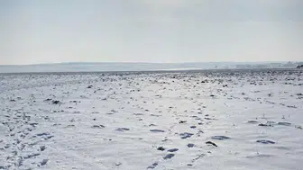 Konya Ovası’nda yağışlar çiftçiye nefes aldırdı