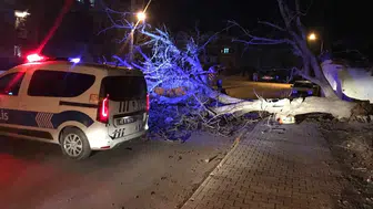Konya Ereğli'de fırtına! Çatılar uçtu, ağaçlar devrildi
