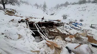 Karaman’da 142 hayvanın bulunduğu ahır çöktü