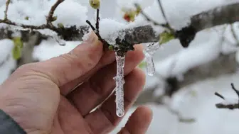 Konyalılara uyarı: Gece sıcaklıklar 0 derece altına düşüyor!