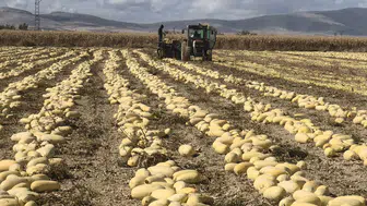Konya’da çiftçiler ne ekeceğine karar veremedi! Piyasa etkilendi