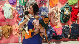 Konya’da pet kuaförüne ilgi artıyor