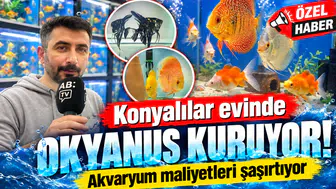 Konyalılar evinde okyanus kuruyor! Akvaryum maliyetleri şaşırtıyor