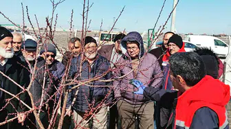 Dalından verime giden yol! Konya’da üretimin sırrı sahada anlatıldı