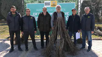 Konya Büyükşehir’den çiftçiye dev destek: 23 bin adet fidan dağıtılacak