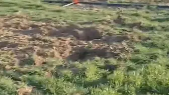 Konya Ovasında tehdid büyüyor