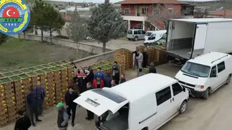 Uygun fiyatlı fideler üreticilere teslim edildi