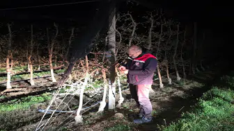 Karaman’da soğuk gece! Üreticiler ürünlerini korumak için mücadele etti