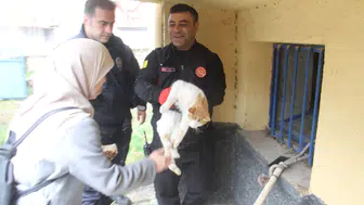 Konya'da açlıktan bitkin düşen kedi hayata döndürüldü