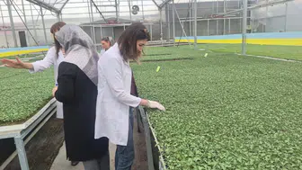 Konya’da bu bitkilerin pasaportu var!