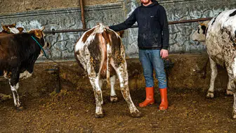 Fiyatlar ne kadar? Konya’da kurbanlıklara yoğun talep