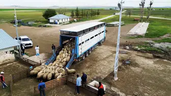 Başvurular başladı! Üreticilere 180 bin TL verilecek