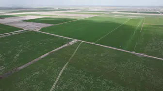 Rekolte artabilir! Konya çiftçisine yağış müjdesi