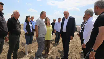 İthalat bitecek! Konya’da patates üretiminde büyük hedef