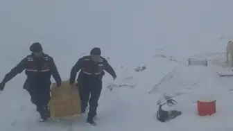 Konya’da duygulandıran müdahale! Saman balyalarıyla hayat kurtarıldı