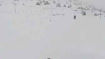 Konya’da Mayıs ayında şok kar yağışı! Bakın kaç cm yağdı?