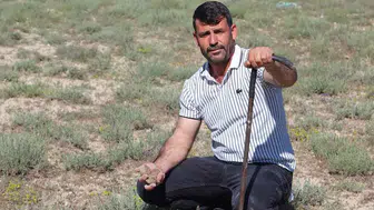 Konya’da toprağın altından servet çıkıyor! Kilosu 1700 lirayı buldu