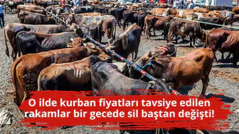 O ilde kurban fiyatları tavsiye edilen rakamlar bir gecede sil baştan değişti!