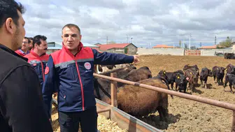 Konya’da Kurban Bayramı yaklaştı! Konya’da İl Müdürü harekete geçti