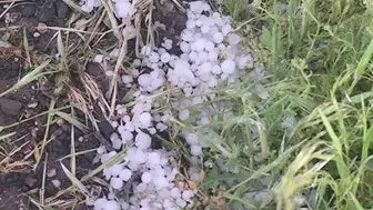 Konya’da fındık büyüklüğünde dolu tağdı
