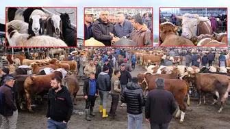 Kurbanlıklar ne kadar? Canlı hayvan pazarında 'kurban' hareketliliği